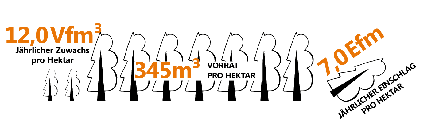 Vorrat Zuwachs und Einschlag